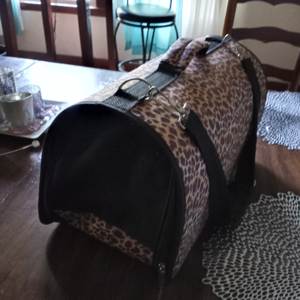 Small pet carrier